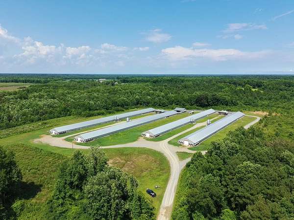 56 Acres of Agricultural Land for Sale in Kenansville, North Carolina