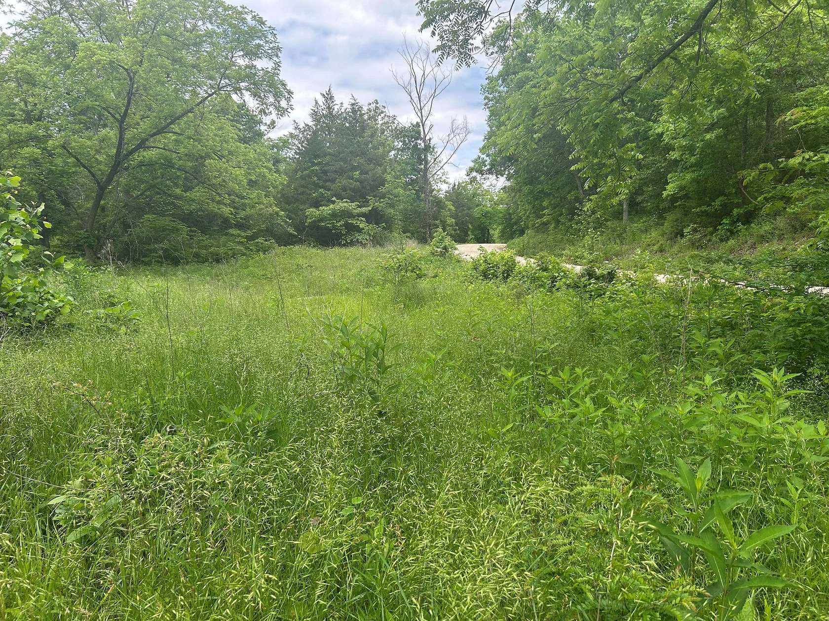 25 Acres of Recreational Land for Sale in Climax Springs, Missouri