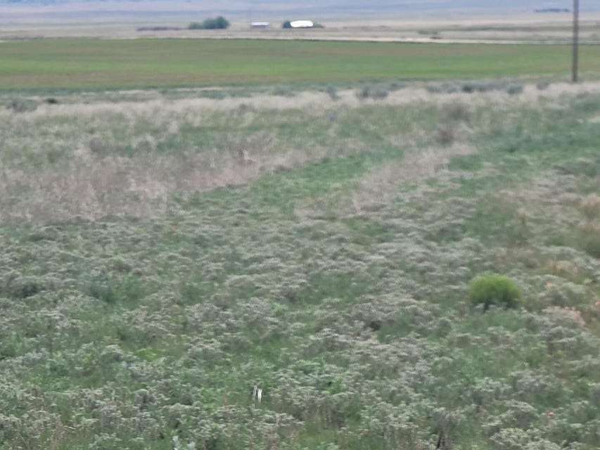 2 Acres of Residential Land for Sale in Stanley, New Mexico