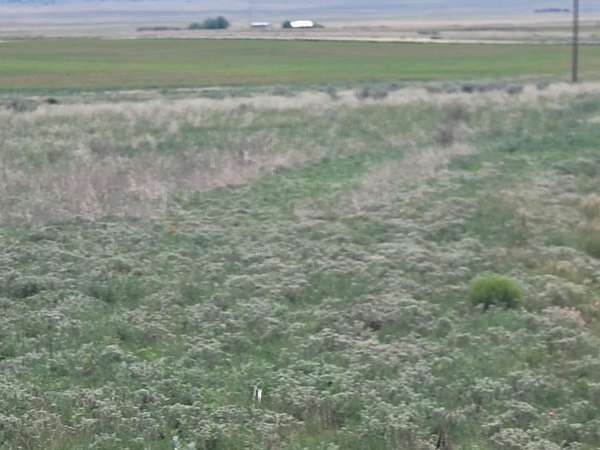 2 Acres of Residential Land for Sale in Stanley, New Mexico