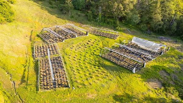 160 Acres of Recreational Land with Home for Sale in Laytonville, California