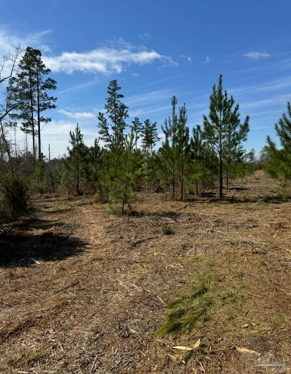 10 Acres of Land for Sale in Marianna, Florida