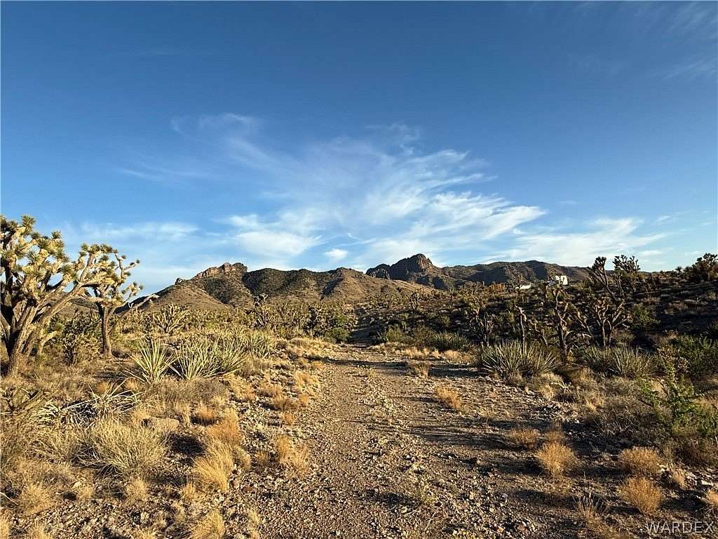 1 Acre of Residential Land for Sale in Dolan Springs, Arizona