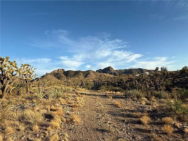 1 Acre of Residential Land for Sale in Dolan Springs, Arizona