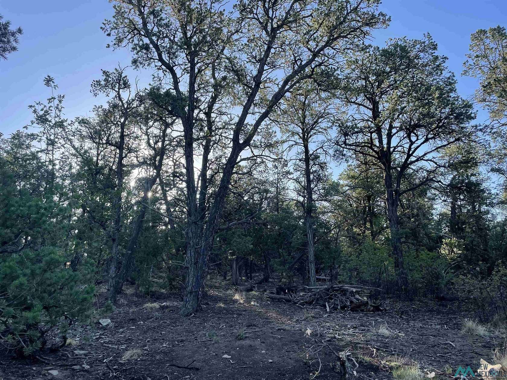 4.46 Acres of Residential Land for Sale in Ramah, New Mexico