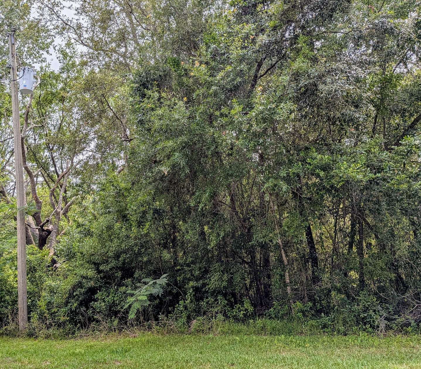 0.23 Acres of Residential Land for Sale in Citrus Springs, Florida