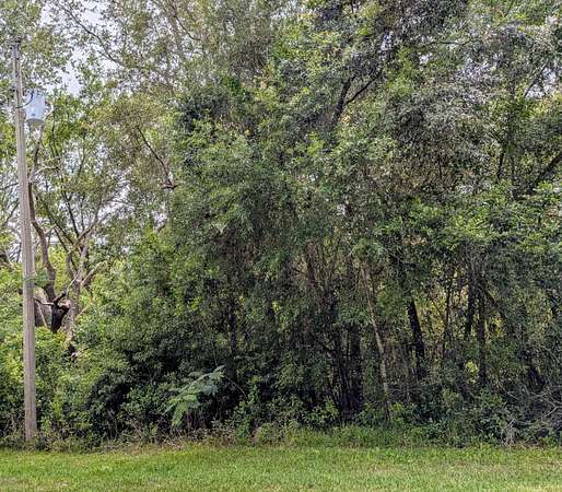 0.23 Acres of Residential Land for Sale in Citrus Springs, Florida