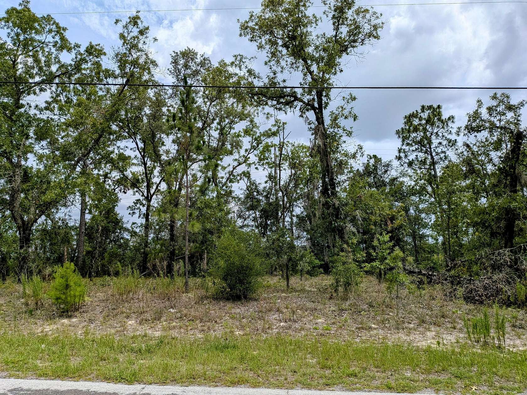 0.23 Acres of Residential Land for Sale in Citrus Springs, Florida