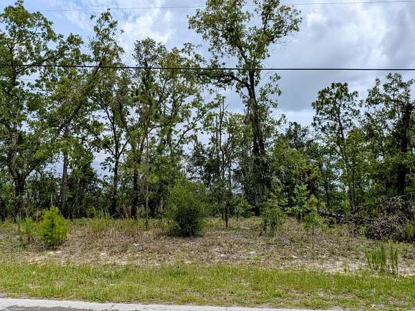 0.23 Acres of Residential Land for Sale in Citrus Springs, Florida