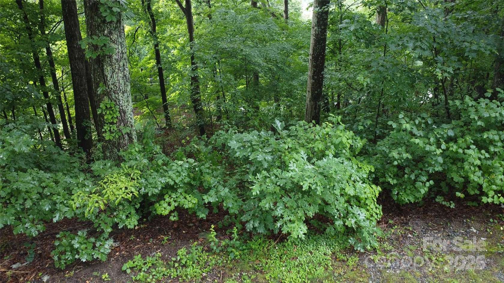 3 Acres of Residential Land for Sale in Columbus, North Carolina