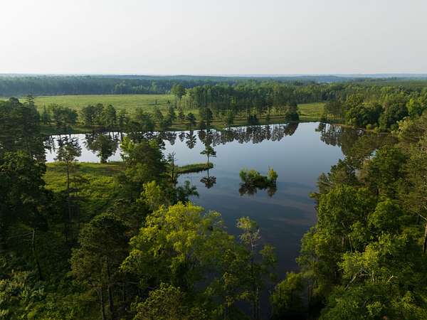 477 Acres of Improved Recreational Land & Farm for Sale in Springhill, Alabama