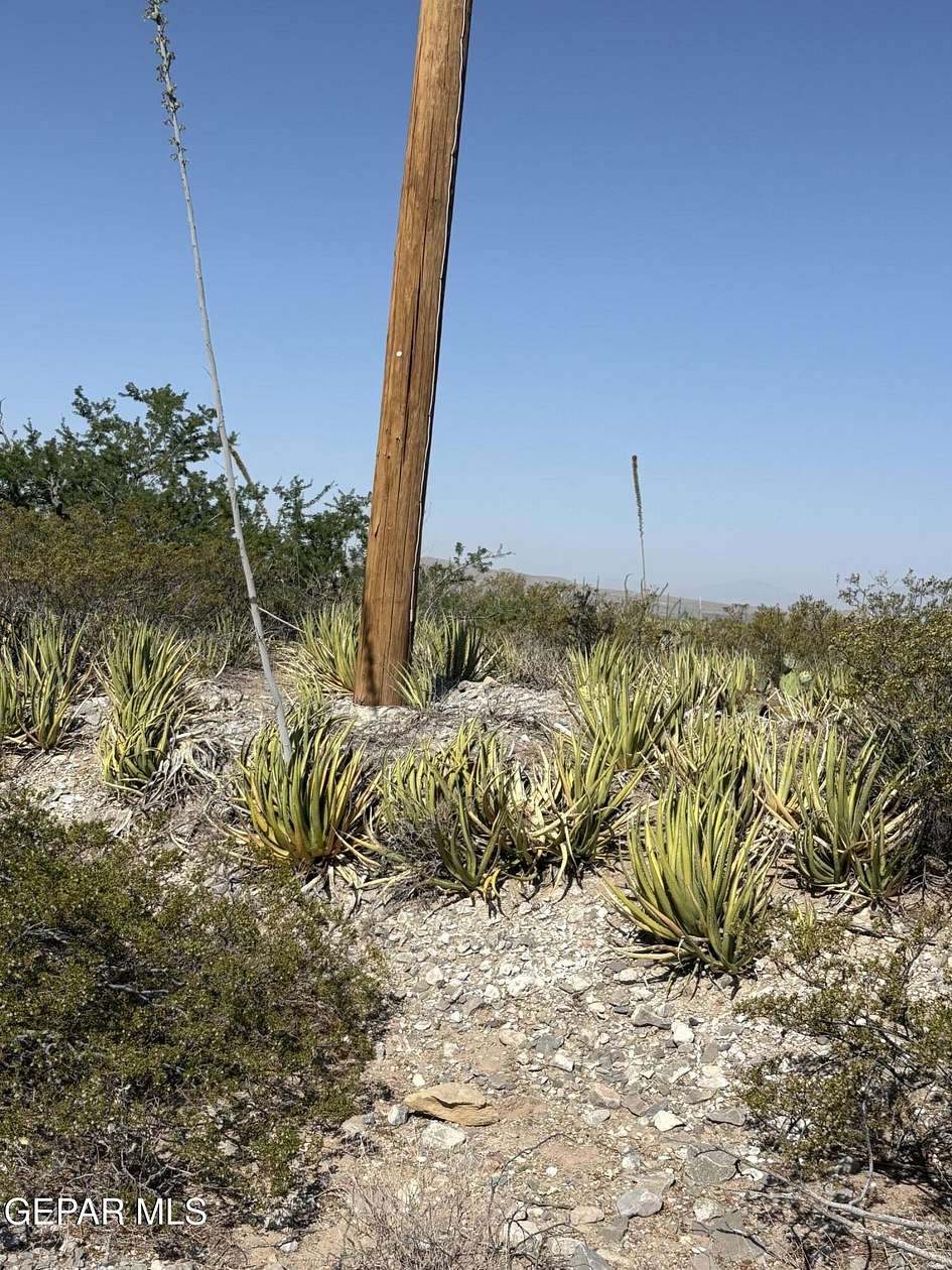 3.86 Acres of Residential Land for Sale in Clint, Texas