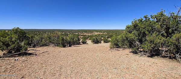 41.4 Acres of Recreational Land for Sale in Show Low, Arizona