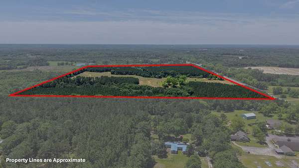 110 Acres of Land for Auction in Brundidge, Alabama