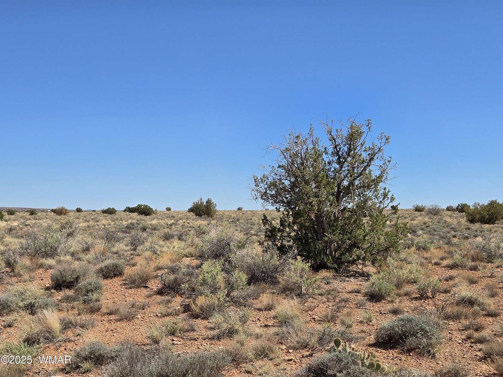 20 Acres of Recreational Land for Sale in Snowflake, Arizona