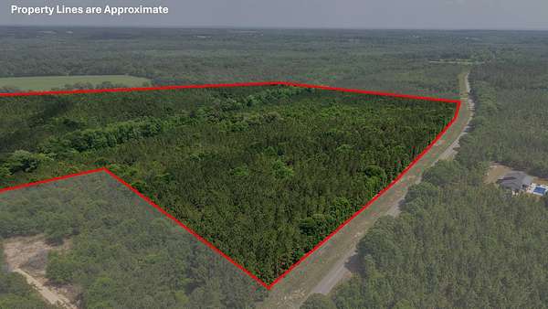 93 Acres of Recreational Land for Auction in Luverne, Alabama