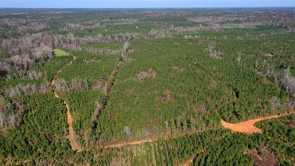 146 Acres of Recreational Land for Auction in Georgiana, Alabama