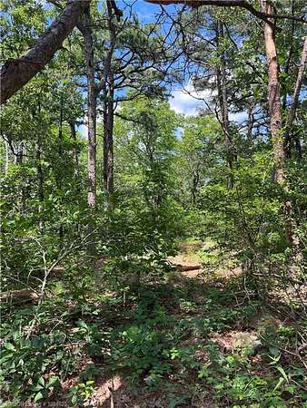 10 Acres of Recreational Land for Sale in Talihina, Oklahoma