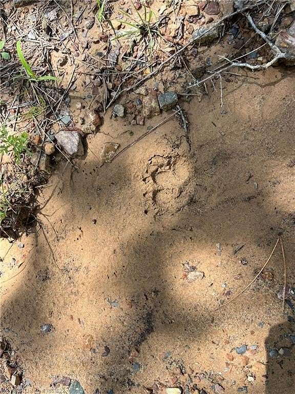 11.5 Acres of Recreational Land for Sale in Talihina, Oklahoma