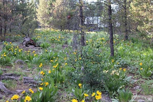 0.23 Acres of Land for Sale in Island Park, Idaho