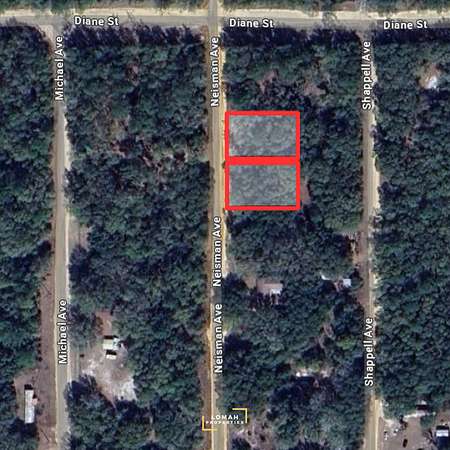 0.44 Acres of Residential Land for Sale in Interlachen, Florida