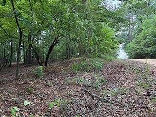 Land for Sale in Farmerville, Louisiana