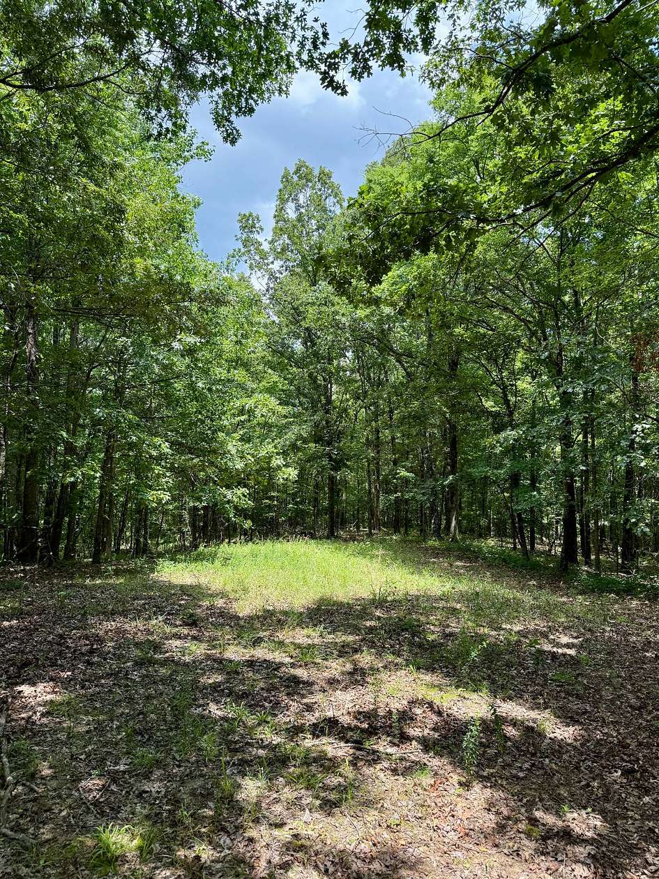 58 Acres of Recreational Land for Sale in Carrollton, Mississippi