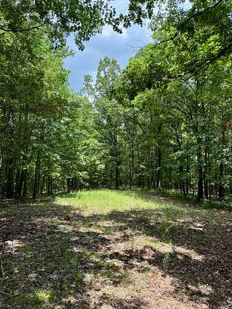 58 Acres of Recreational Land for Sale in Carrollton, Mississippi