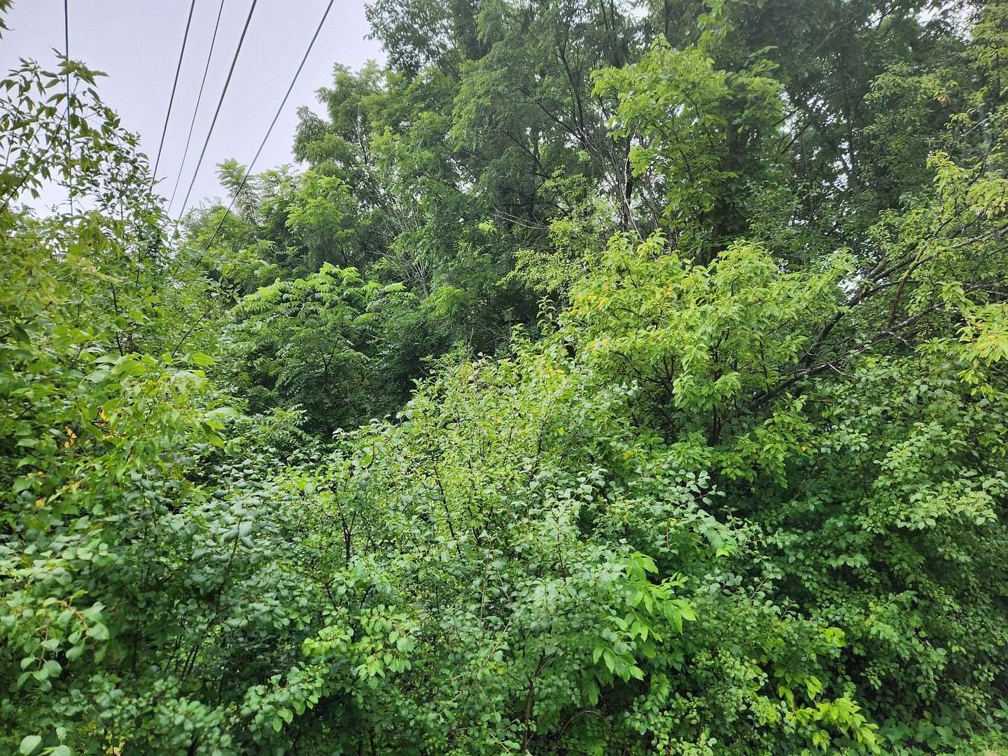0.19 Acres of Residential Land for Sale in Winfield, Illinois