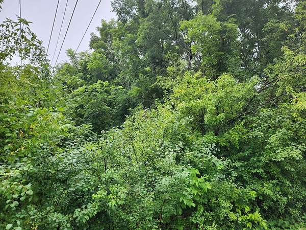 0.19 Acres of Residential Land for Sale in Winfield, Illinois