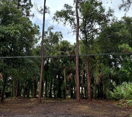 0.23 Acres of Residential Land for Sale in Palm Bay, Florida