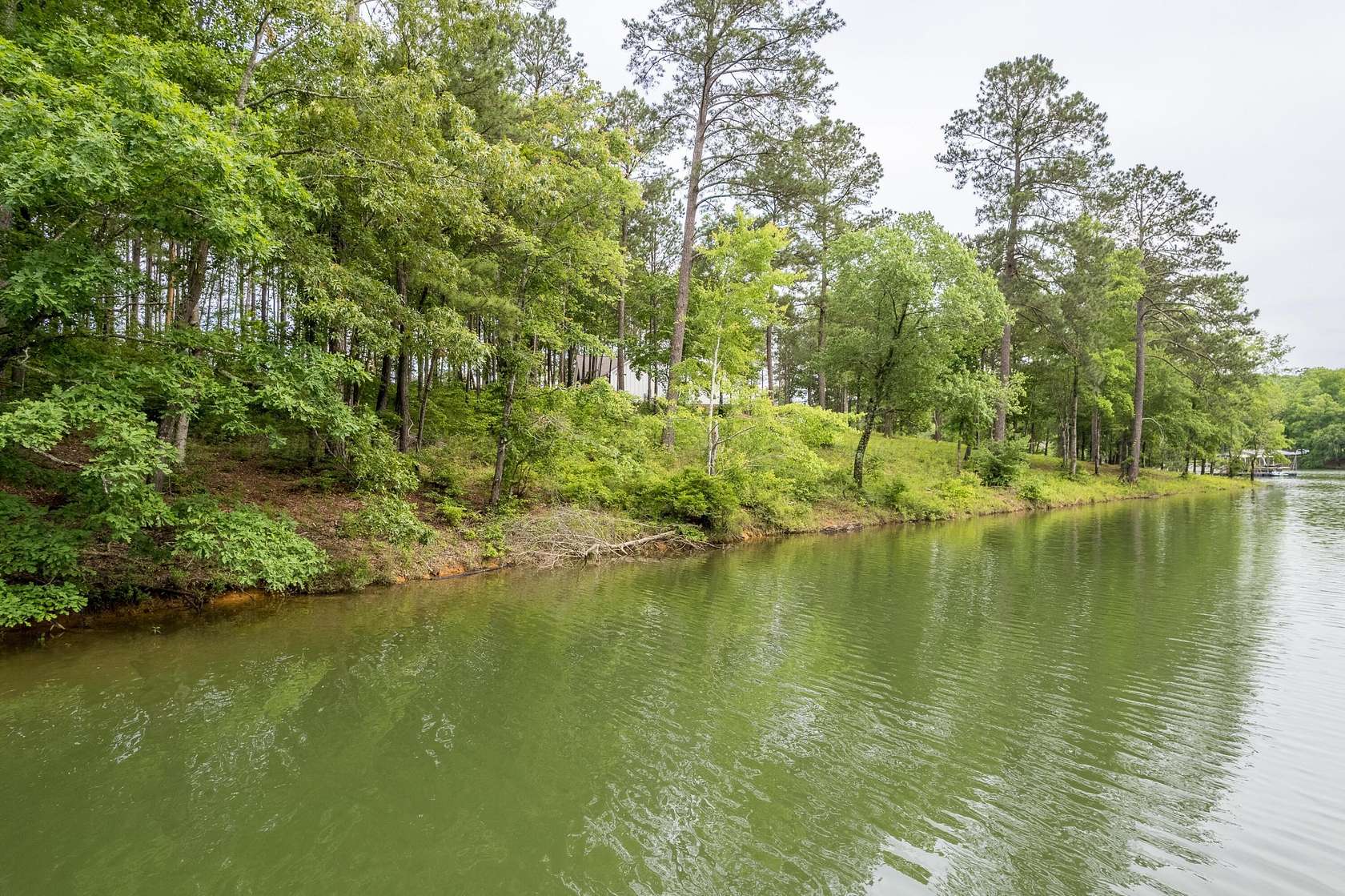 0.76 Acres of Residential Land for Sale in Double Springs, Alabama
