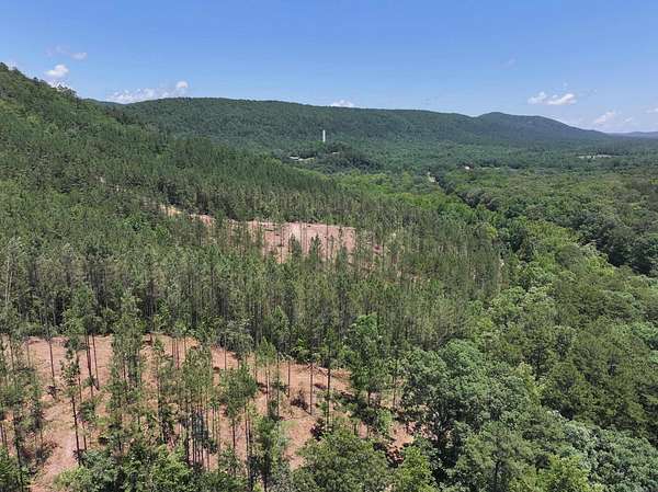 10 Acres of Land for Sale in Caddo Gap, Arkansas