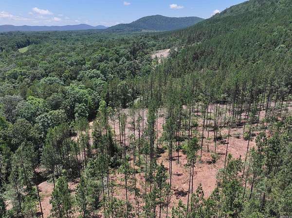 10 Acres of Land for Sale in Caddo Gap, Arkansas