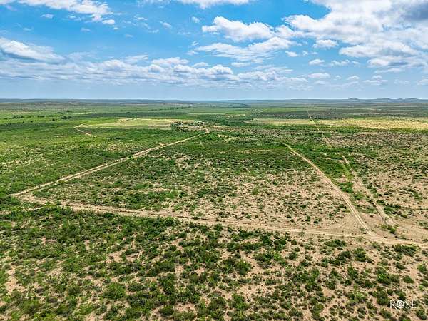 346 Acres of Recreational Land & Farm for Sale in Mertzon, Texas
