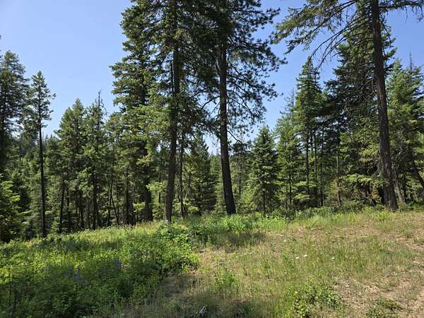 20 Acres of Recreational Land for Sale in Springdale, Washington