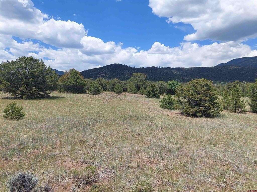 1.18 Acres of Residential Land for Sale in South Fork, Colorado