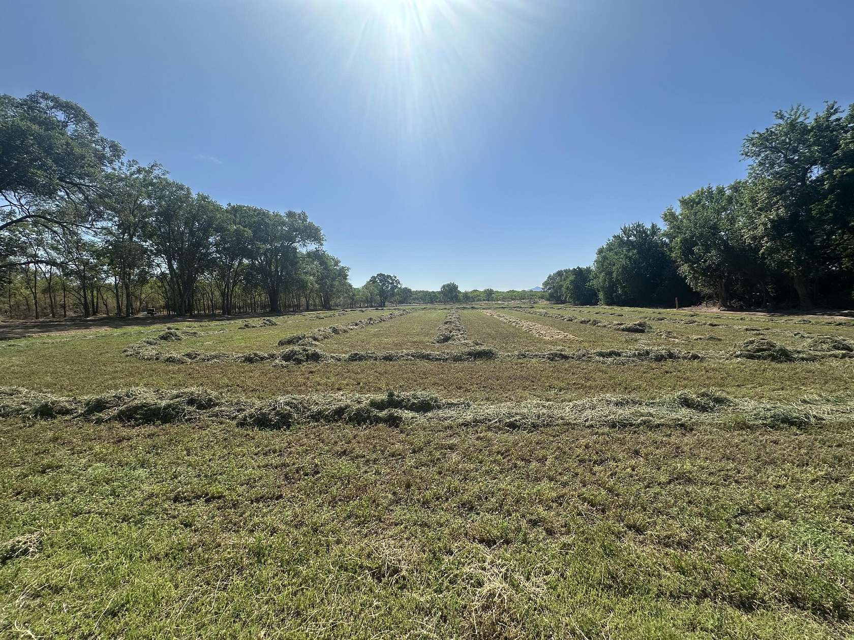 1.26 Acres of Residential Land for Sale in Bosque, New Mexico