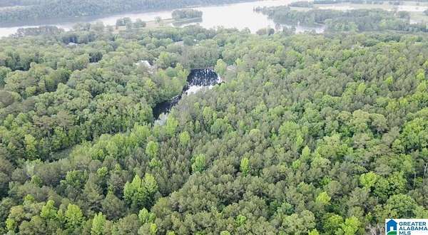30.8 Acres of Agricultural Land for Sale in Riverside, Alabama