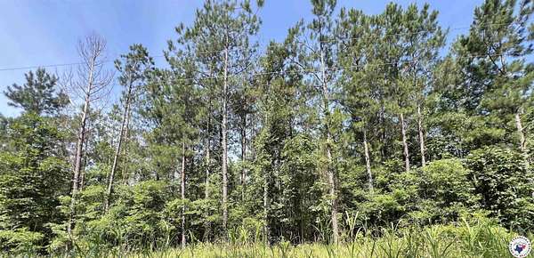 19 Acres of Land for Sale in Haworth, Oklahoma