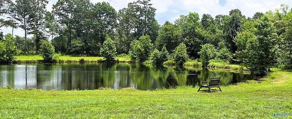 19.4 Acres of Land with Home for Sale in Henagar, Alabama