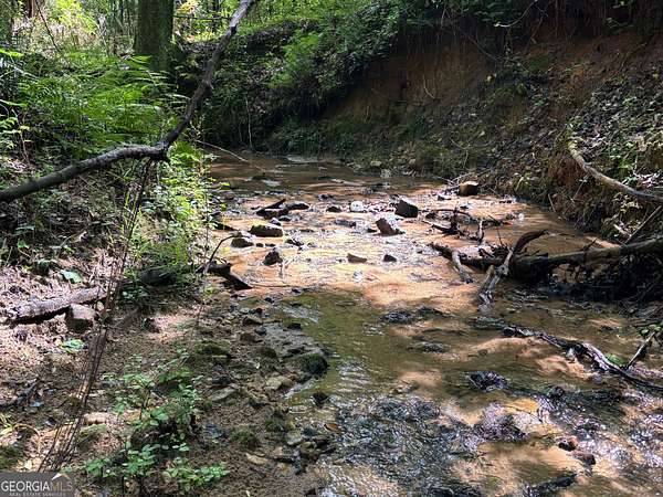 10 Acres of Recreational Land for Sale in Lanett, Alabama