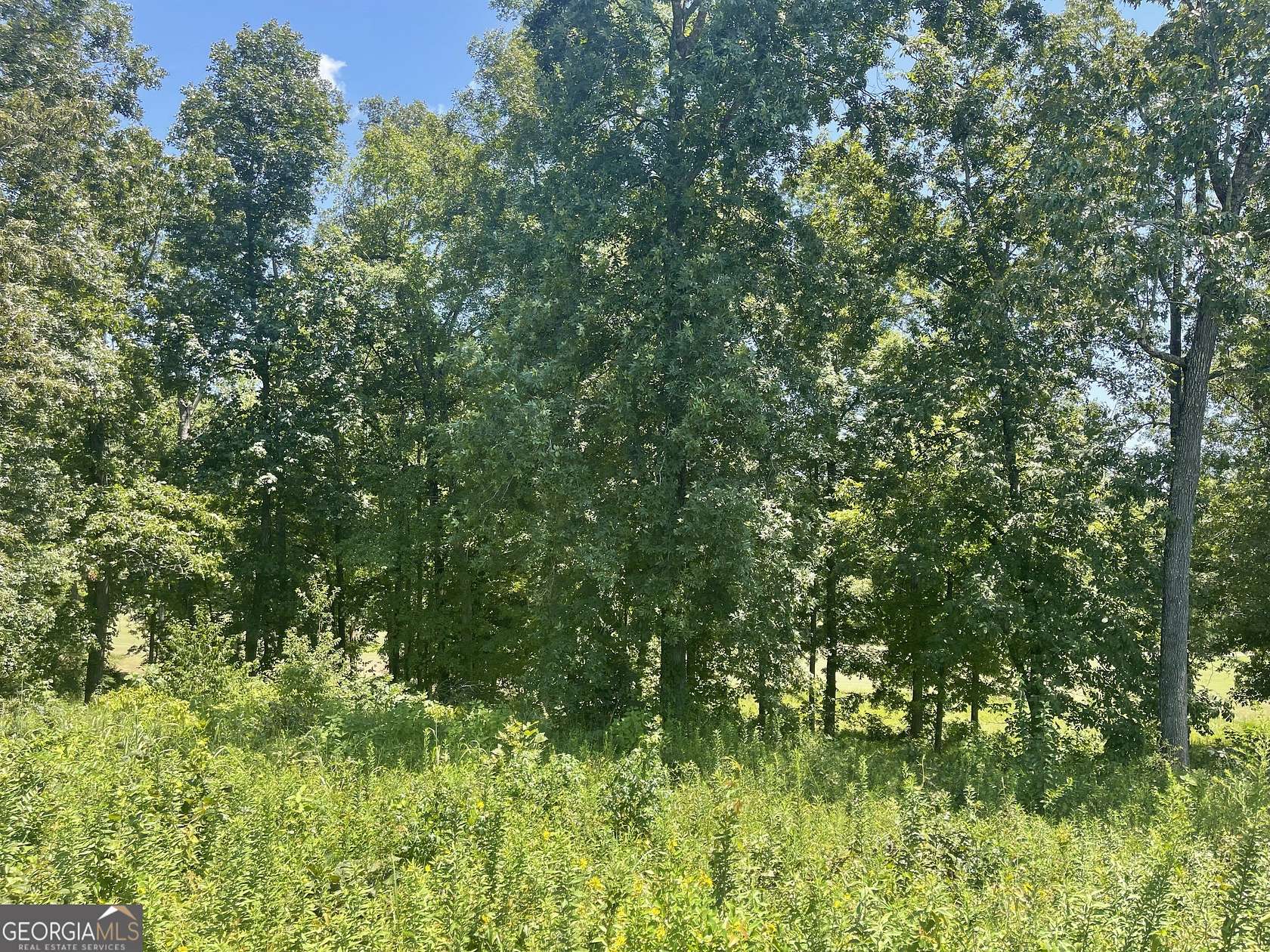 0.57 Acres of Residential Land for Sale in Hawkinsville, Georgia
