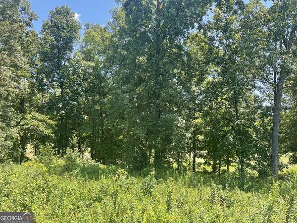 0.57 Acres of Residential Land for Sale in Hawkinsville, Georgia