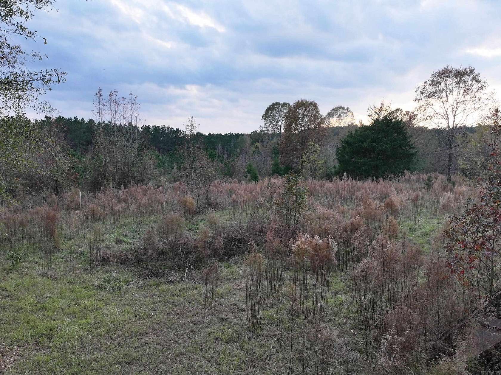 39.4 Acres of Recreational Land for Sale in Gurdon, Arkansas