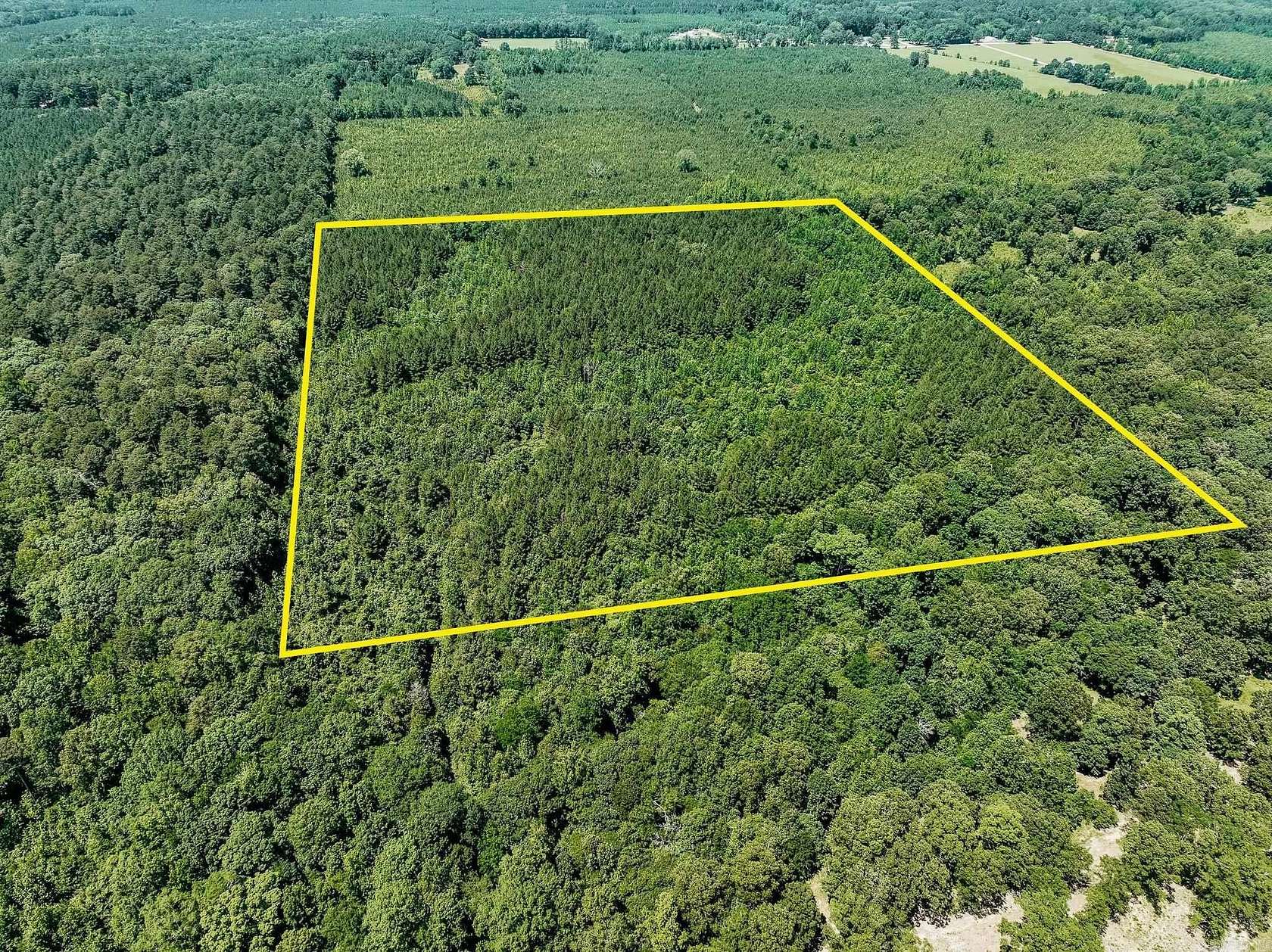 40 Acres of Recreational Land for Sale in Monticello, Arkansas