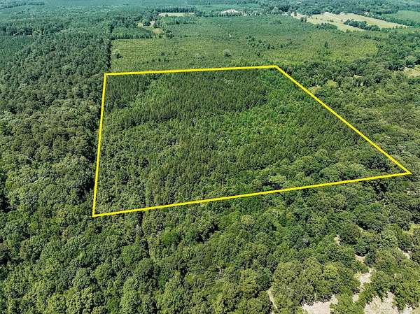 40 Acres of Recreational Land for Sale in Monticello, Arkansas