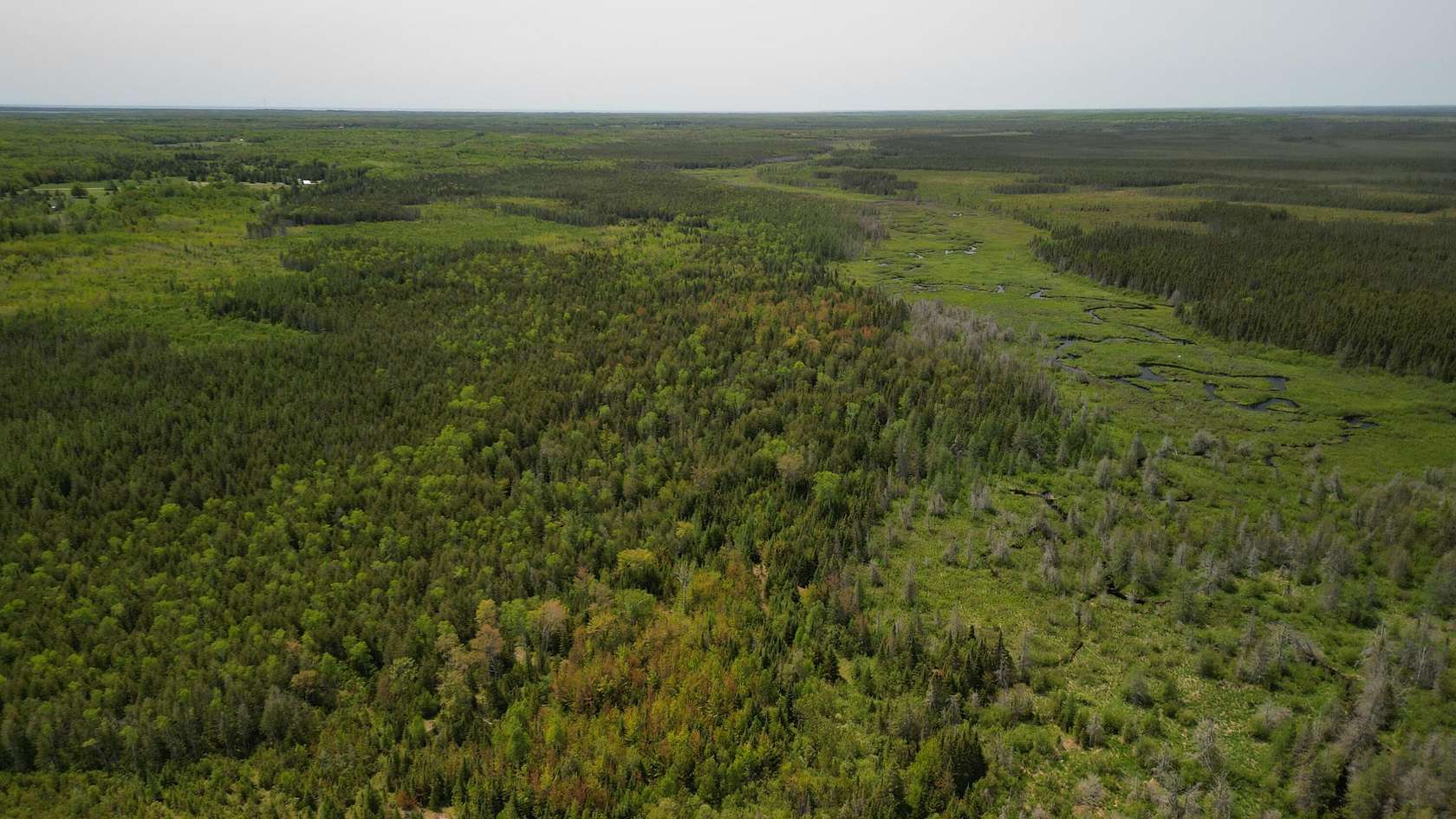 480 Acres of Land for Sale in Gulliver, Michigan