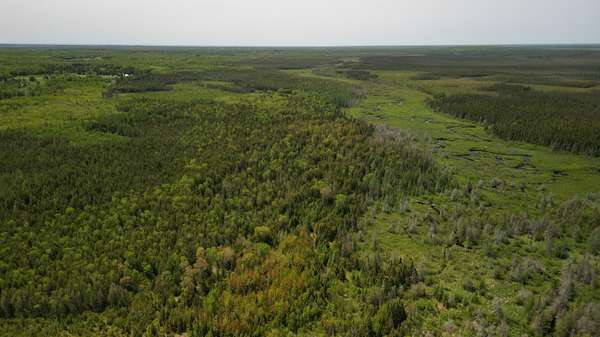 480 Acres of Land for Sale in Gulliver, Michigan