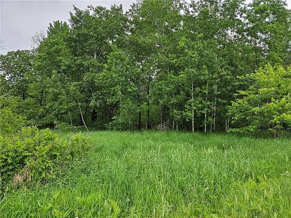20 Acres of Recreational Land for Sale in Chetek, Wisconsin